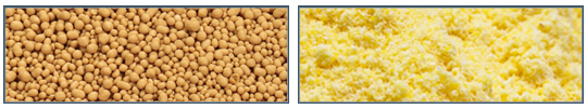 Yeast.jpg