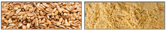 Before-and-After-Spelt.jpg